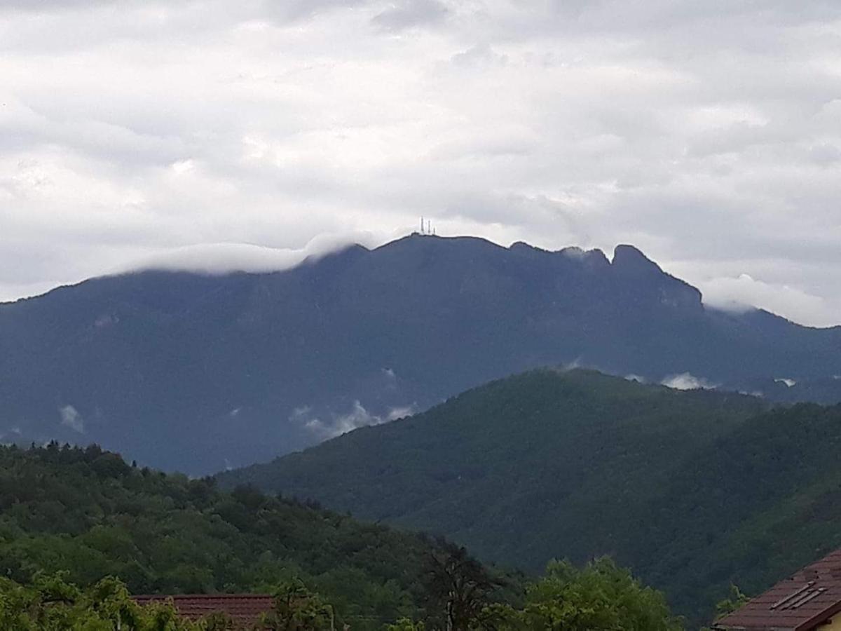 Hotel Casa Rariana Călimăneşti Esterno foto