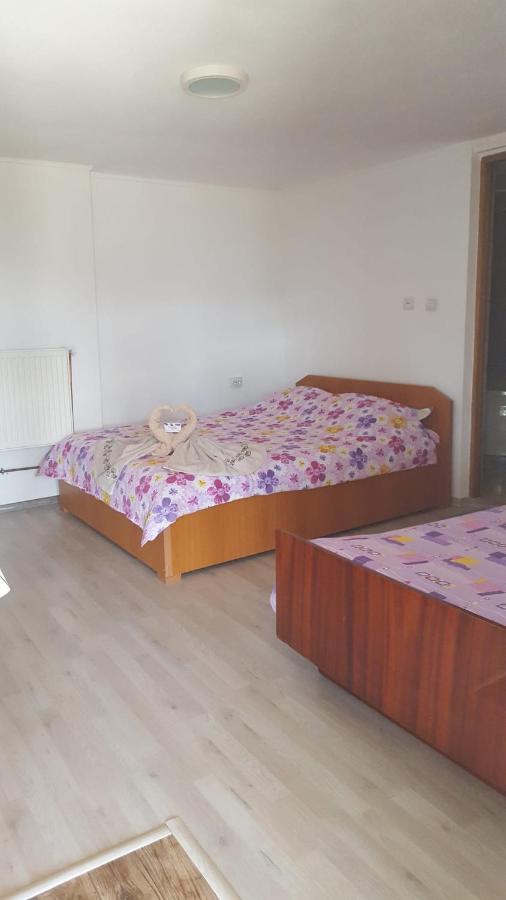 Hotel Casa Rariana Călimăneşti Esterno foto